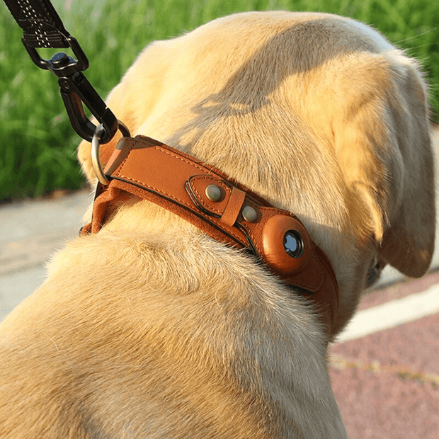 Leather AirTag Dog Collar - ELECTRONIC GADGETS