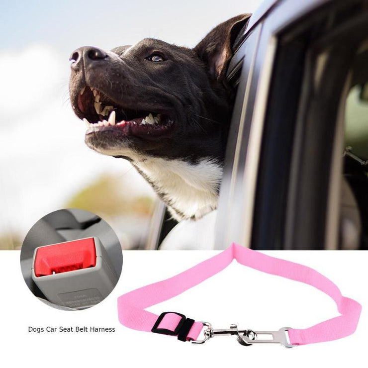 Pet Car Seat Belt - ELECTRONIC GADGETS