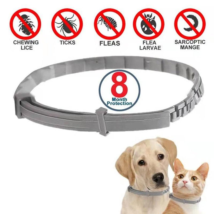 Antiparasitic Pet Collar - ELECTRONIC GADGETS