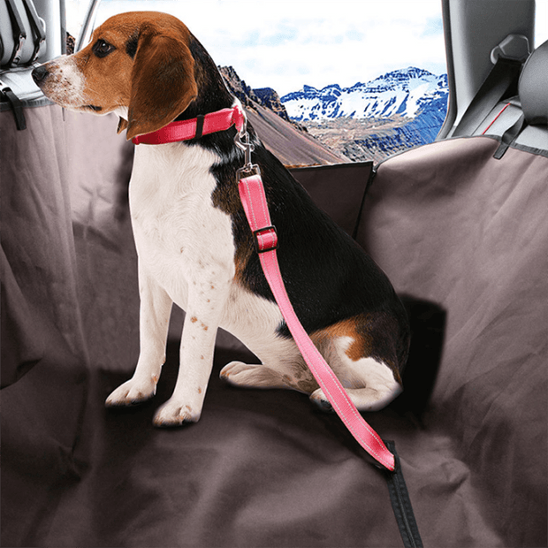 Pet Car Seat Belt - ELECTRONIC GADGETS